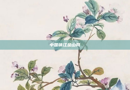 中国镇江金山网