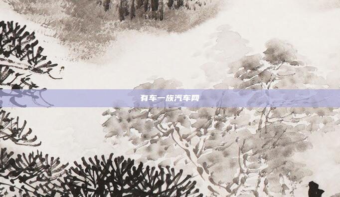有车一族汽车网