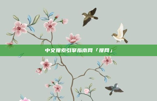 中文搜索引擎指南网「搜网」