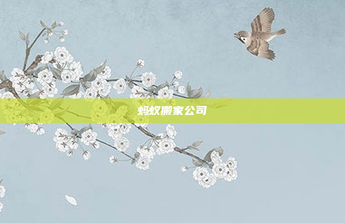 蚂蚁搬家公司