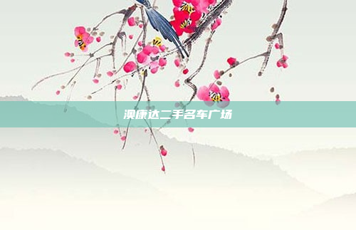 澳康达二手名车广场