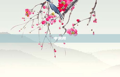 中房网