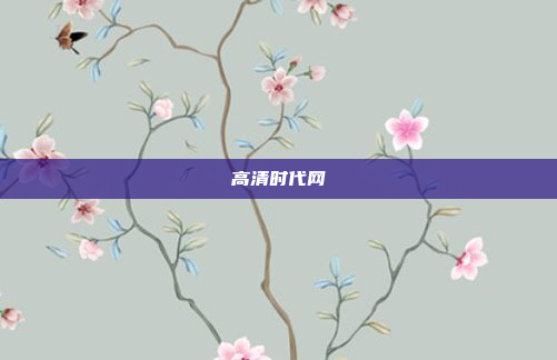 高清时代网