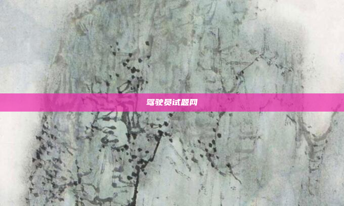 驾驶员试题网