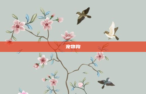 宠物狗