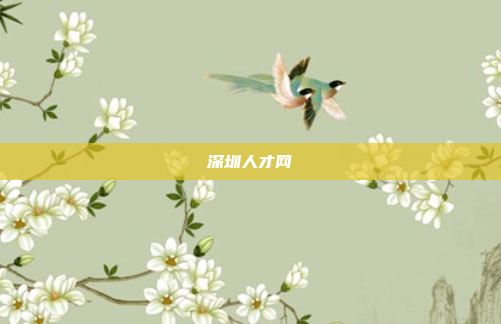 深圳人才网