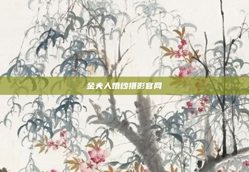 金夫人婚纱摄影官网