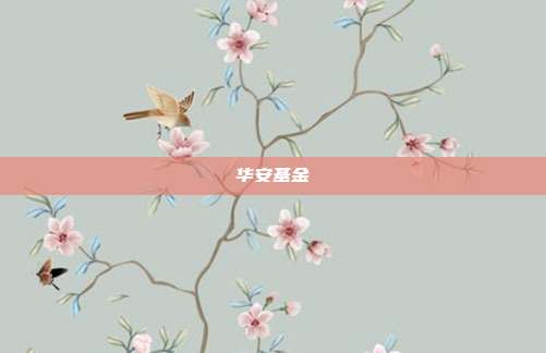 华安基金