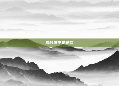 狗的猫宁宠物网