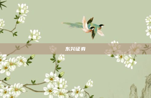 东兴证券