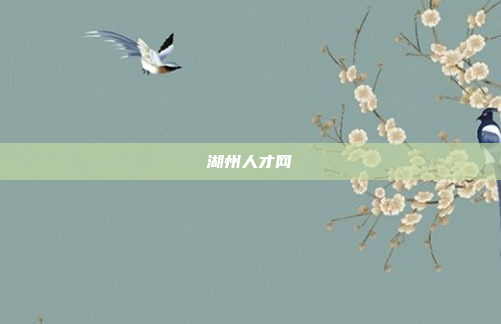 湖州人才网