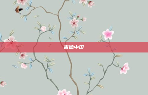 吉他中国