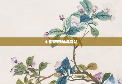 中国衡阳新闻网站