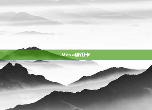 Visa信用卡
