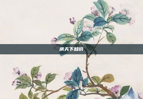 房天下知识