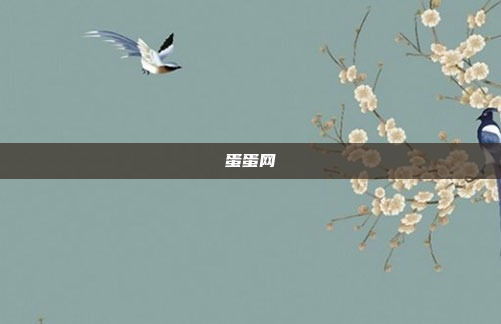 蛋蛋网