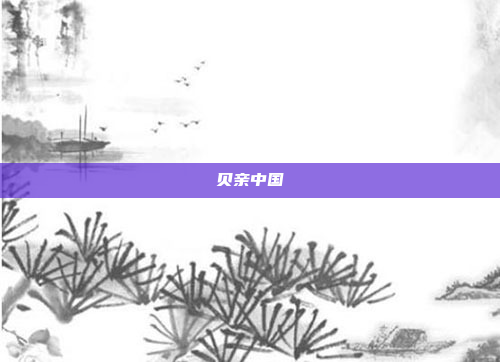 贝亲中国