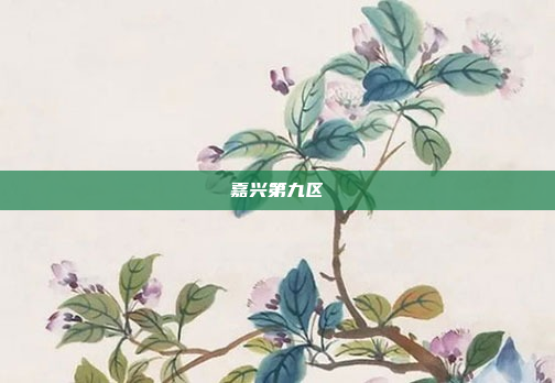 嘉兴第九区