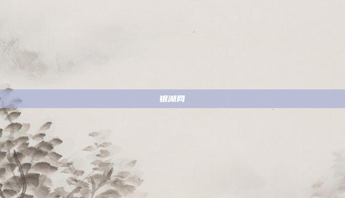 银湖网