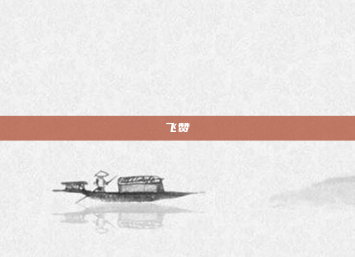 飞赞