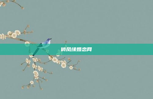 俏凤缘婚恋网