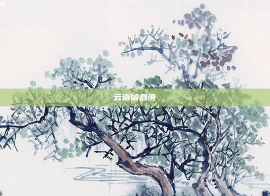 云南信息港