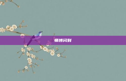 师傅闪到
