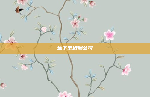 地下室堵漏公司