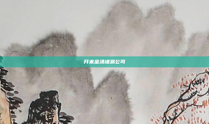 开来金汤堵漏公司
