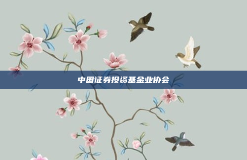 中国证券投资基金业协会