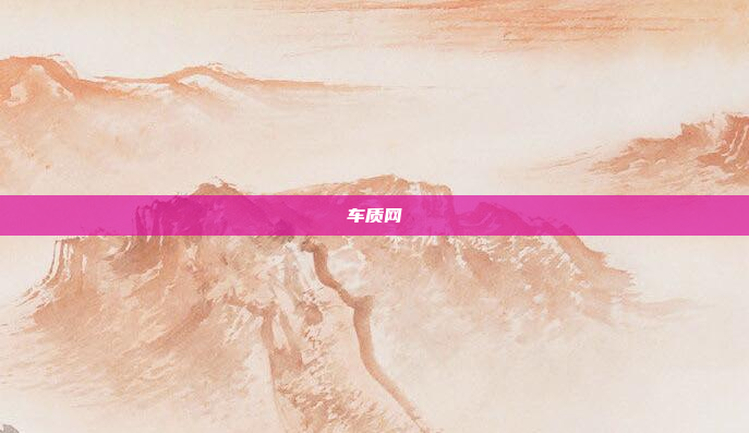 车质网