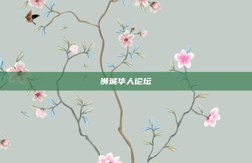 狮城华人论坛