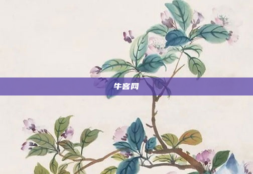 牛客网