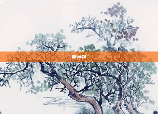 首商网
