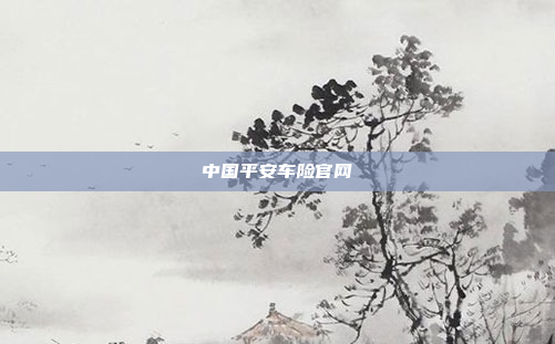 中国平安车险官网