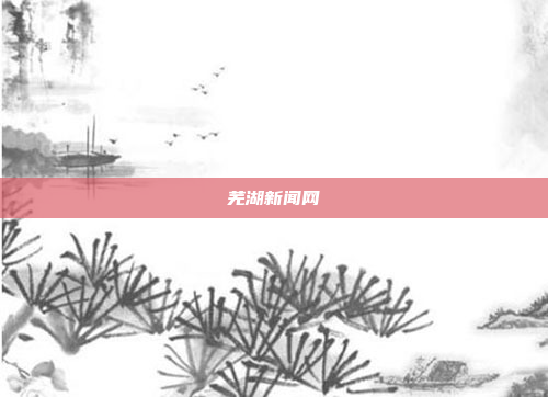 芜湖新闻网