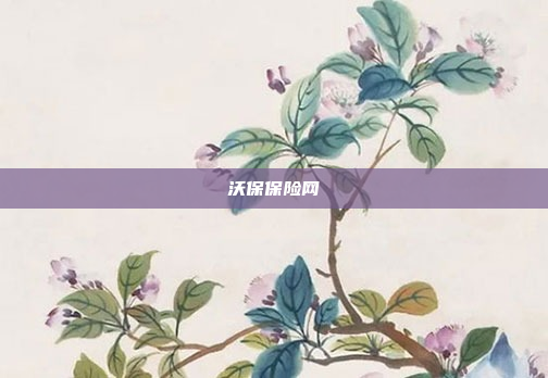沃保保险网