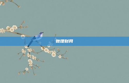她理财网
