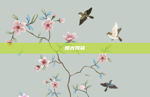 阳光网驿