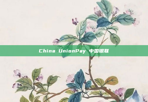 China UnionPay 中国银联