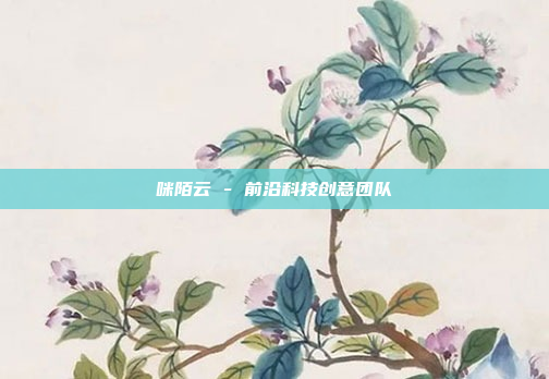 咪陌云 - 前沿科技创意团队