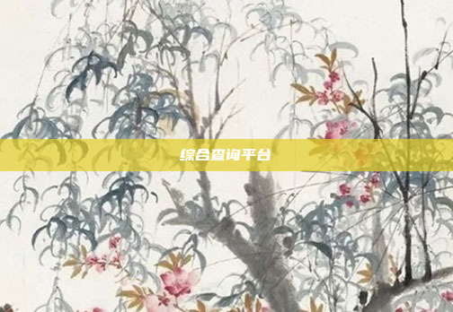 综合查询平台