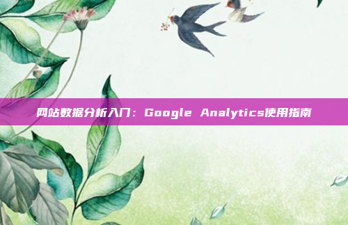 网站数据分析入门：Google Analytics使用指南