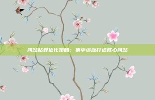 网站站群优化策略：集中资源打造核心网站