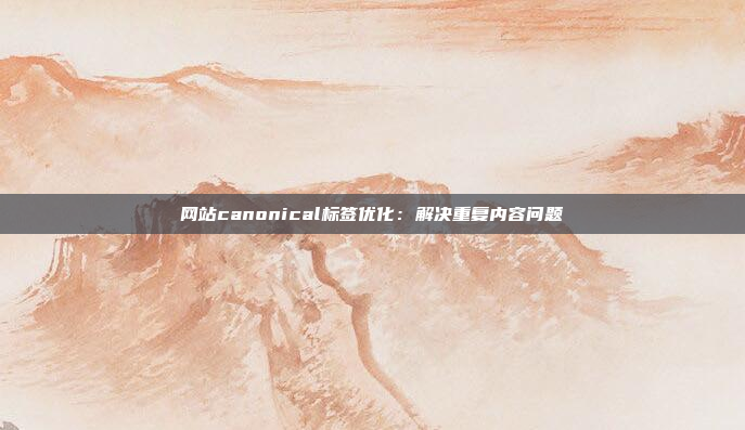 网站canonical标签优化：解决重复内容问题