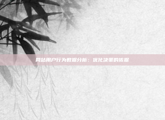 网站用户行为数据分析：优化决策的依据