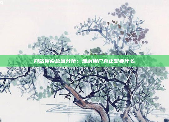 网站搜索意图分析：理解用户真正想要什么