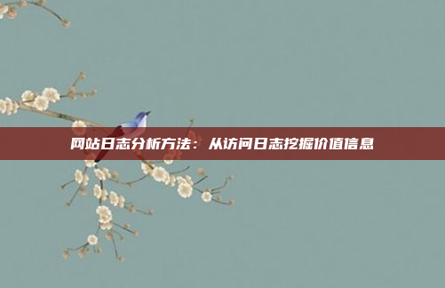 网站日志分析方法：从访问日志挖掘价值信息