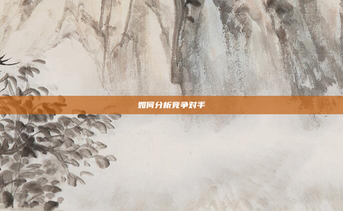 如何分析竞争对手