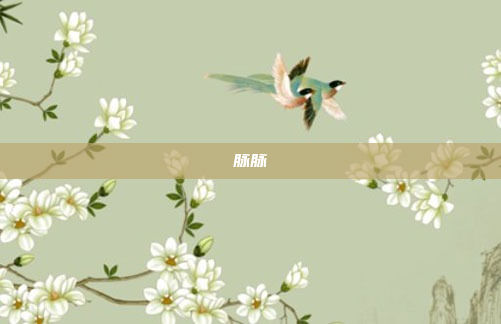 脉脉